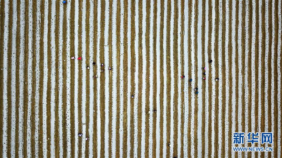 (在習近平新時代中國特色社會主義思想指引下——新時代新作為新篇章·習近平總書記關(guān)切事·圖文互動)(6)啃下最后的硬骨頭——脫貧攻堅掛牌督戰(zhàn)進行時