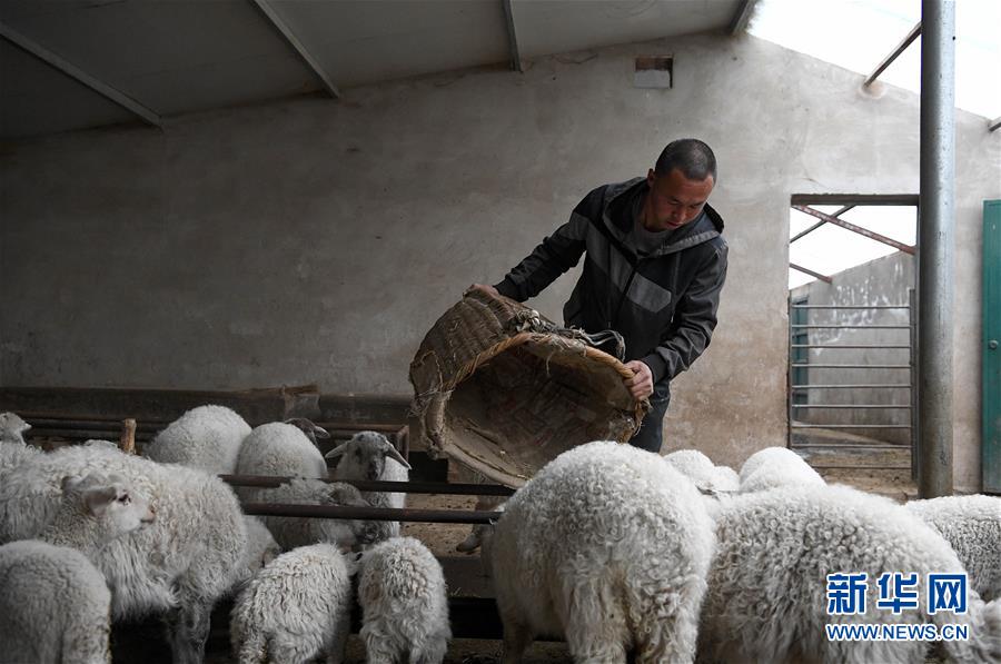 （新華全媒頭條&middot;圖文互動）（1）春天里的5個&ldquo;戰(zhàn)貧&rdquo;瞬間&mdash;&mdash;習(xí)近平總書記關(guān)于脫貧攻堅決策部署指引攻克最后的深貧堡壘