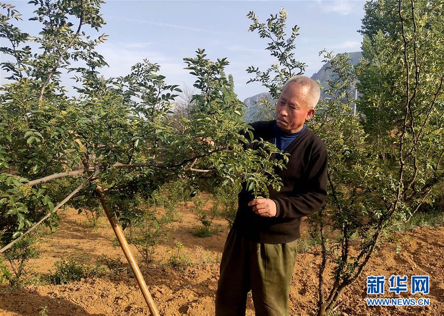 （新華全媒頭條&middot;圖文互動）（5）春天里的5個&ldquo;戰(zhàn)貧&rdquo;瞬間&mdash;&mdash;習(xí)近平總書記關(guān)于脫貧攻堅決策部署指引攻克最后的深貧堡壘