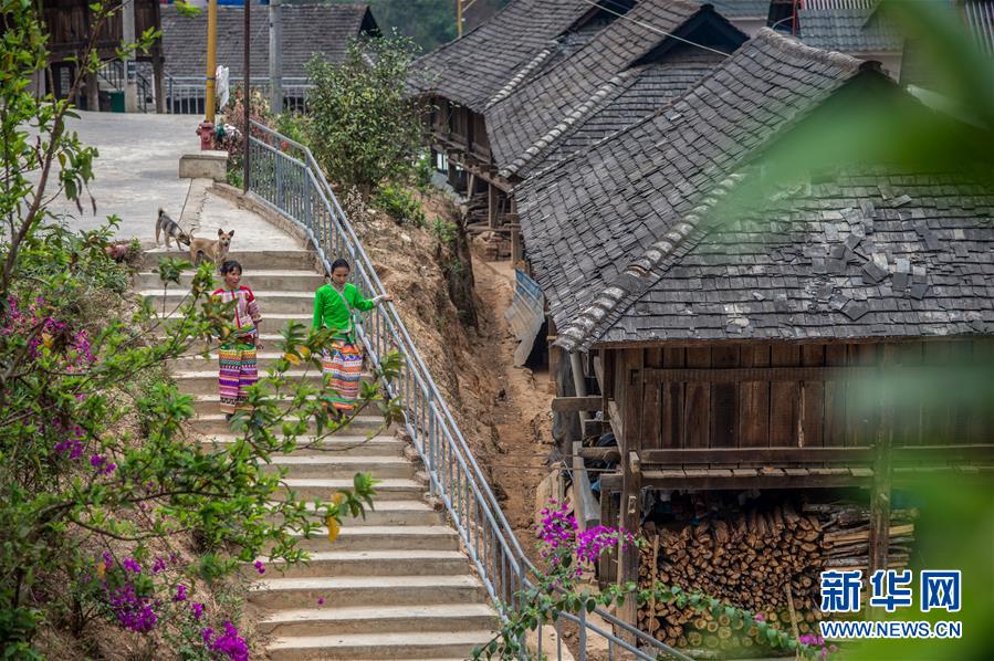 (決戰(zhàn)決勝脫貧攻堅·圖文互動)(2)“孩子再也不用學打獵了”——拉祜族女獵手告別狩獵