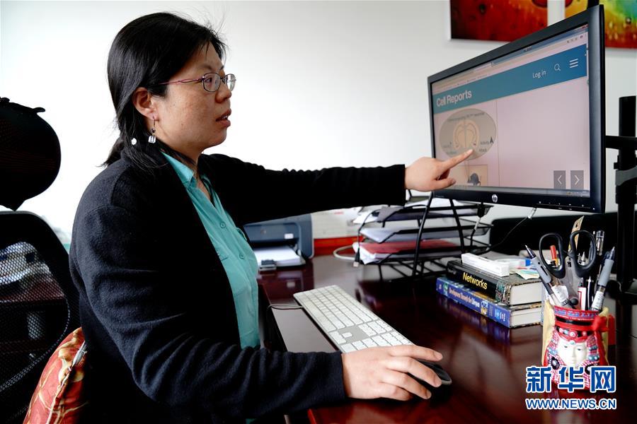 （圖文互動(dòng)）（1）攻擊行為如何被大腦控制？科學(xué)家在小鼠大腦中發(fā)現(xiàn)&ldquo;調(diào)節(jié)開關(guān)&rdquo;