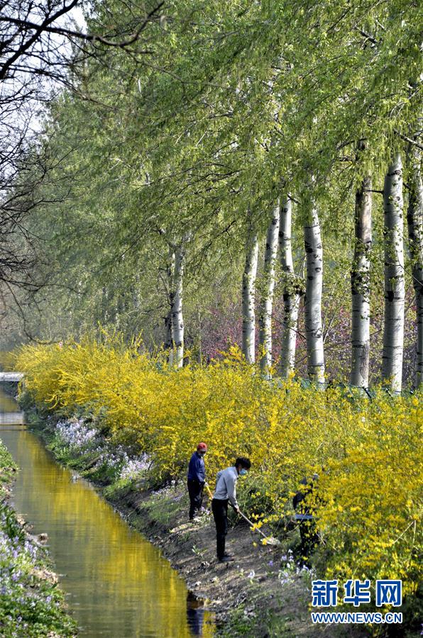 (新華全媒頭條·圖文互動(dòng))(4)永遠(yuǎn)的夢(mèng)想 永恒的追求——寫在北京世園會(huì)開幕一周年之際