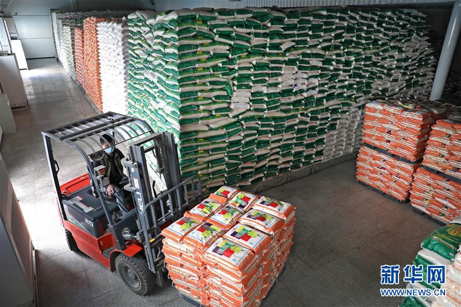 (在習(xí)近平新時代中國特色社會主義思想指引下——新時代新作為新篇章·習(xí)近平總書記關(guān)切事·圖文互動)(9)春耕忙 信心足——谷雨時節(jié)走馬東北直擊糧事