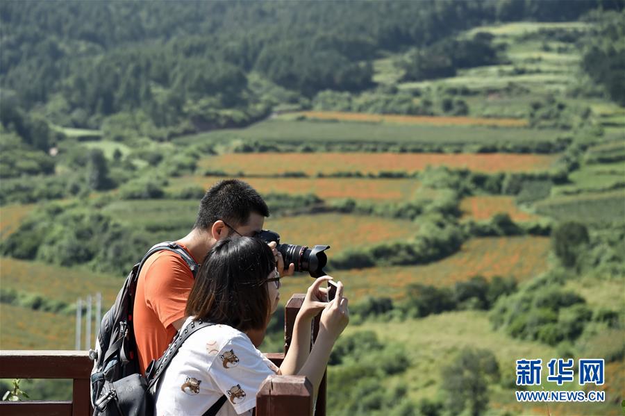 （圖文互動(dòng)）（1）這座小城，鐫刻下怎樣的&ldquo;世園印記&rdquo;&mdash;&mdash;北京世園會(huì)開(kāi)園一周年探訪延慶