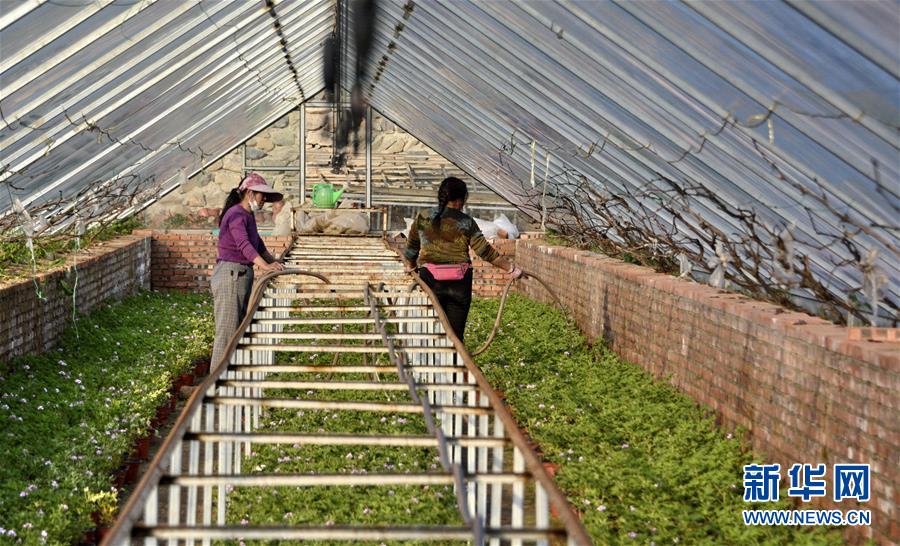 （圖文互動(dòng)）（2）這座小城，鐫刻下怎樣的&ldquo;世園印記&rdquo;&mdash;&mdash;北京世園會(huì)開(kāi)園一周年探訪延慶