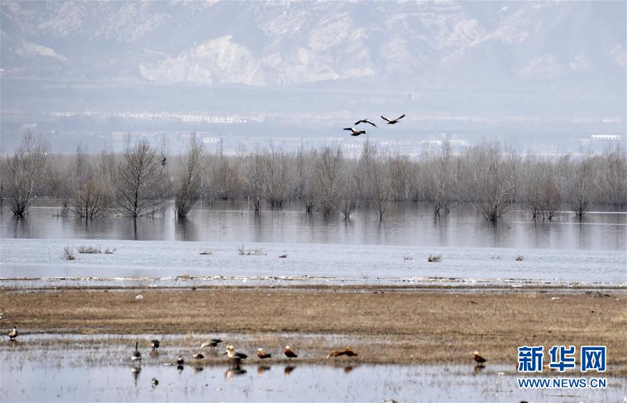 （圖文互動(dòng)）（3）這座小城，鐫刻下怎樣的&ldquo;世園印記&rdquo;&mdash;&mdash;北京世園會(huì)開(kāi)園一周年探訪延慶