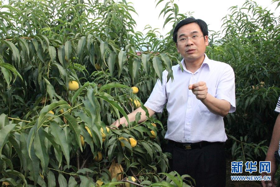 （圖文互動）（2）&ldquo;為脫貧而來，為脫貧而去&rdquo;&mdash;&mdash;追記湖南炎陵縣委原書記黃詩燕 