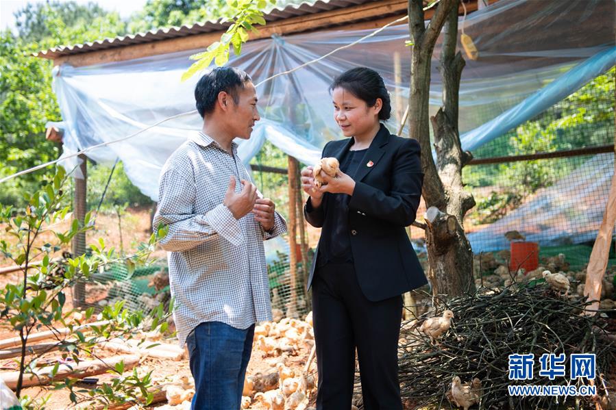 (圖文互動(dòng))(1)扶貧干部唐華容:治疾病也治“窮病”