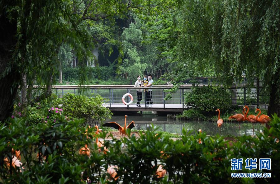 (在習近平新時代中國特色社會主義思想指引下——新時代新作為新篇章·習近平總書記關切事·圖文互動)(8)疫情防控不減壓 復工復產正加速——武漢“解封”滿月觀察