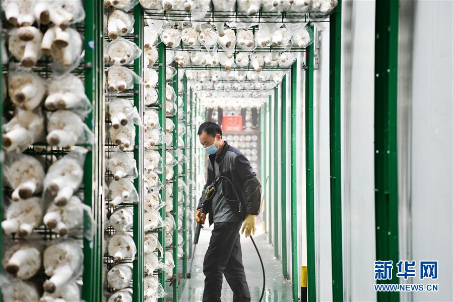 （決戰(zhàn)決勝脫貧攻堅&middot;圖文互動）（3）補短板 促就業(yè) 穩(wěn)增收&mdash;&mdash;貴州向脫貧&ldquo;硬骨頭&rdquo;發(fā)起總攻