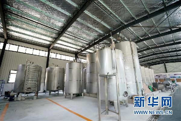 (決戰(zhàn)決勝脫貧攻堅(jiān)·圖文互動)(5)西藏昌都“甜蜜”產(chǎn)業(yè)助脫貧