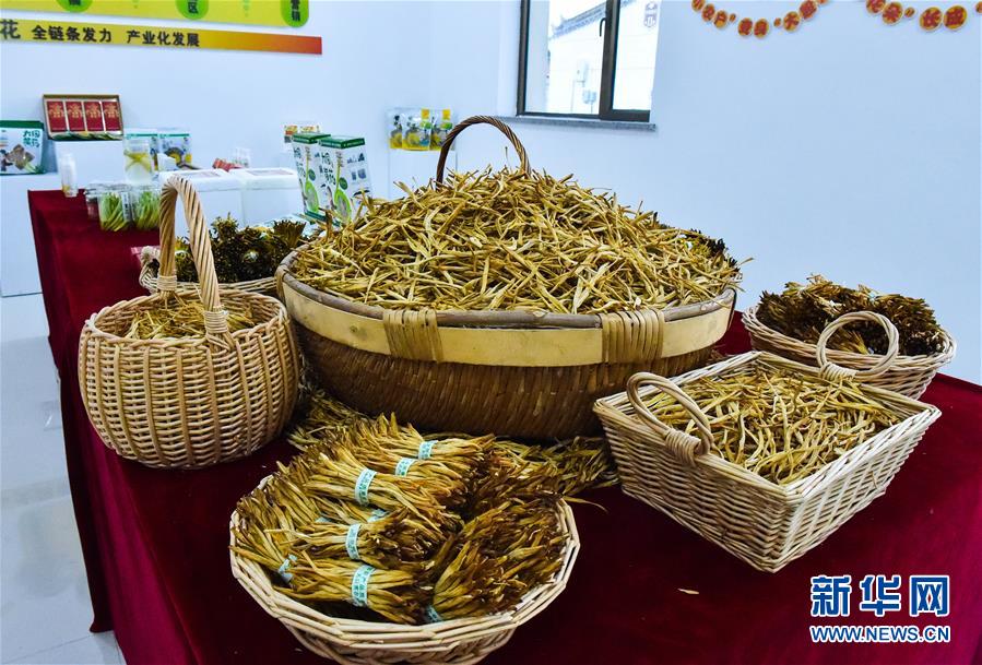 （新華全媒頭條&middot;圖文互動）（3）初夏，循著總書記的腳步探訪產(chǎn)業(yè)扶貧新事