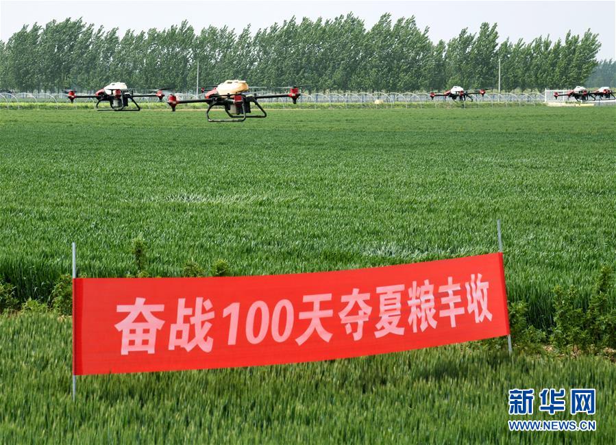 （在習近平新時代中國特色社會主義思想指引下&mdash;&mdash;新時代新作為新篇章&middot;習近平總書記關(guān)切事&middot;圖文互動）（9）新農(nóng)事、新希望&mdash;&mdash;夏收前田間新動態(tài)掃描