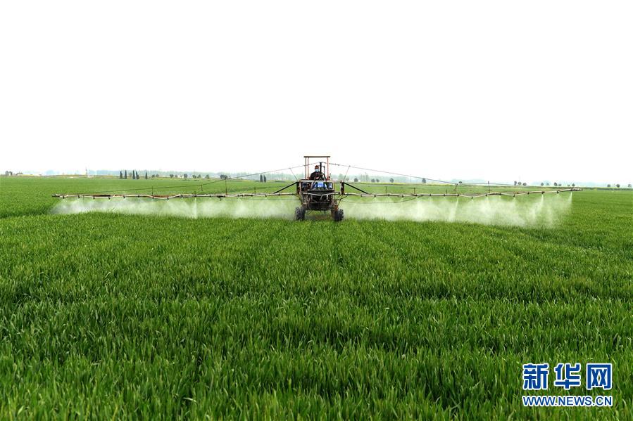 （在習近平新時代中國特色社會主義思想指引下&mdash;&mdash;新時代新作為新篇章&middot;習近平總書記關(guān)切事&middot;圖文互動）（10）新農(nóng)事、新希望&mdash;&mdash;夏收前田間新動態(tài)掃描