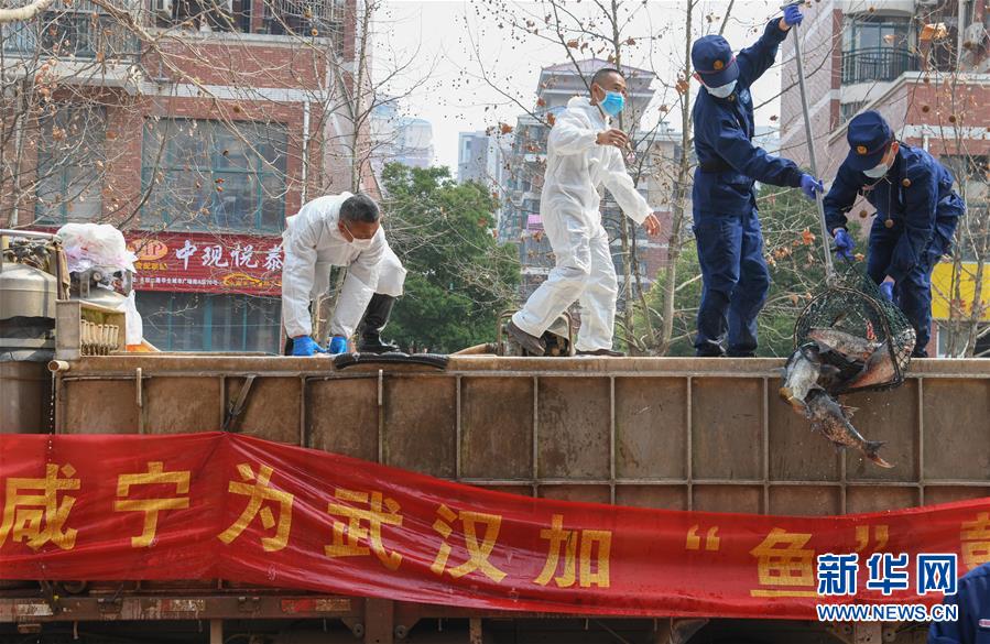 (新華全媒頭條·圖文互動)(11)風雨無阻向前進——寫在全國疫情防控阻擊戰(zhàn)取得重大戰(zhàn)略成果之際