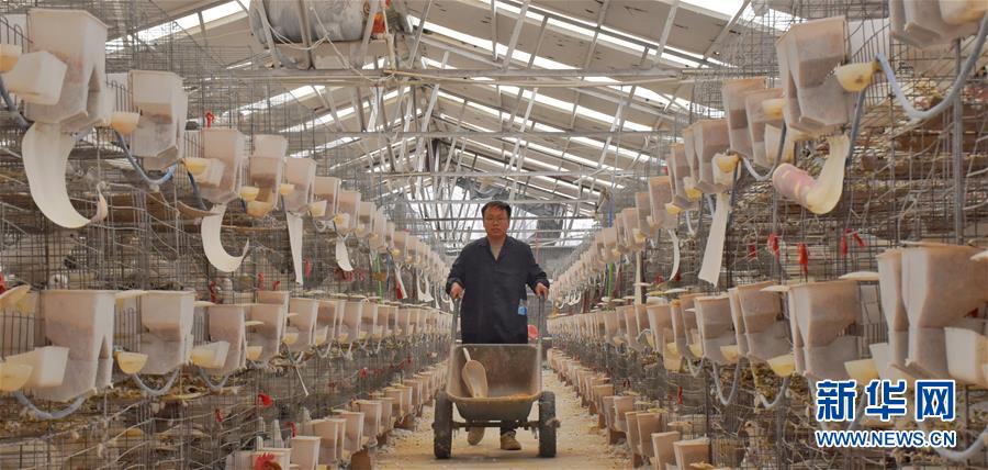 （新華全媒頭條&middot;兩會(huì)精神看落實(shí)&middot;圖文互動(dòng)）（1）努力讓群眾看到變化得到實(shí)惠&mdash;&mdash;落實(shí)全國兩會(huì)精神持續(xù)保障和改善民生述評(píng)