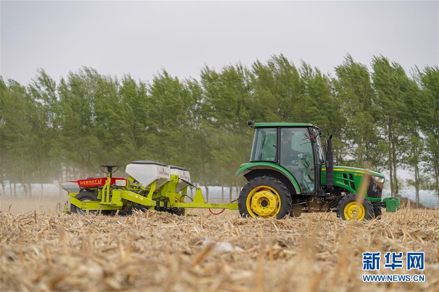 (在習(xí)近平新時代中國特色社會主義思想指引下——新時代新作為新篇章·習(xí)近平總書記關(guān)切事·圖文互動)(9)讓農(nóng)民挑上“金扁擔(dān)”——農(nóng)業(yè)現(xiàn)代化的生動實踐掃描