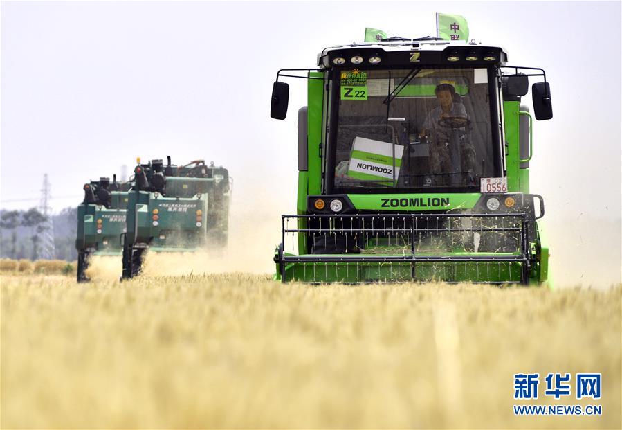 (在習(xí)近平新時代中國特色社會主義思想指引下——新時代新作為新篇章·習(xí)近平總書記關(guān)切事·圖文互動)(12)讓農(nóng)民挑上“金扁擔(dān)”——農(nóng)業(yè)現(xiàn)代化的生動實踐掃描