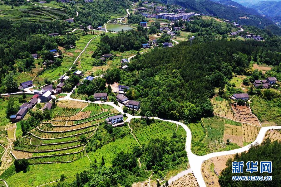 （新華全媒頭條&middot;圖文互動(dòng)）（11）待到滿山紅葉時(shí)&mdash;&mdash;三峽重慶庫(kù)區(qū)踐行新發(fā)展理念面面觀