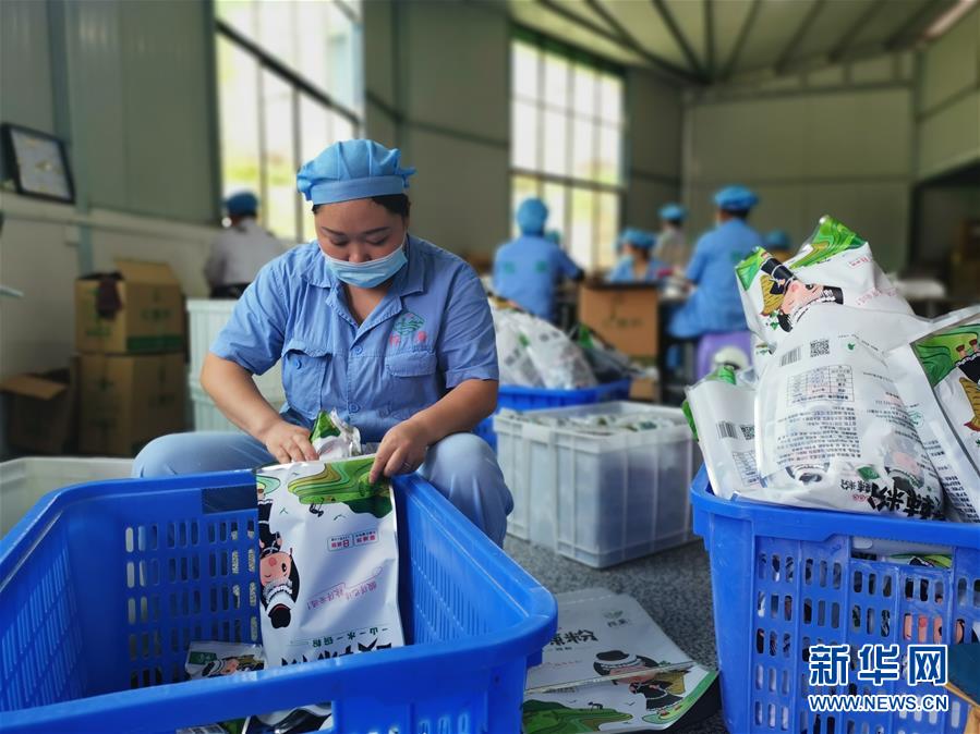 （決戰(zhàn)決勝脫貧攻堅&middot;圖文互動）（2）貴州思南：發(fā)展&ldquo;紅薯經(jīng)濟&rdquo;助脫貧