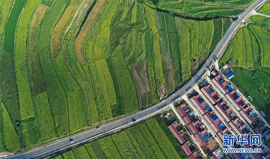 （在習(xí)近平新時(shí)代中國特色社會(huì)主義思想指引下&mdash;&mdash;新時(shí)代新作為新篇章&middot;習(xí)近平總書記關(guān)切事&middot;圖文互動(dòng)）（4）六盤山下的誓言&mdash;&mdash;來自寧夏的脫貧故事