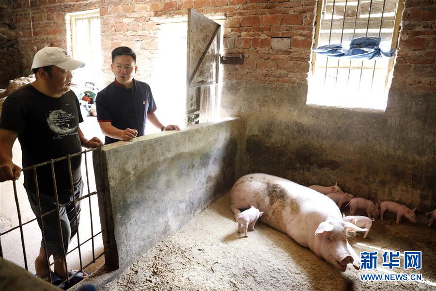 （新華全媒頭條&middot;圖文互動(dòng)）（1）基層天地廣闊 青春大有作為&mdash;&mdash;聚焦&ldquo;三支一扶&rdquo;計(jì)劃實(shí)施十五年