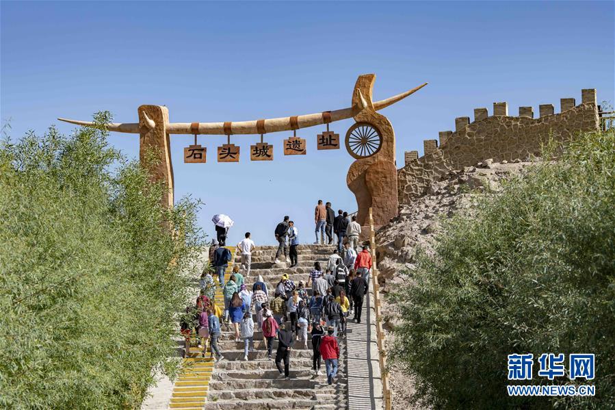 （新華全媒頭條&middot;圖文互動）（11）飛吧，&ldquo;帕米爾雄鷹&rdquo;！