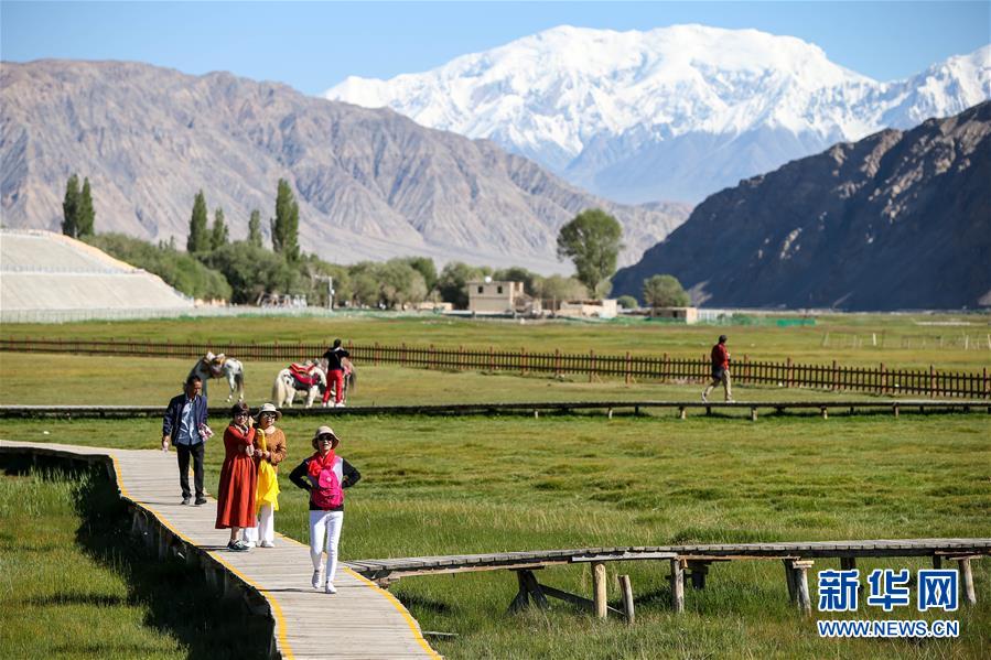 （新華全媒頭條&middot;圖文互動）（15）飛吧，&ldquo;帕米爾雄鷹&rdquo;！