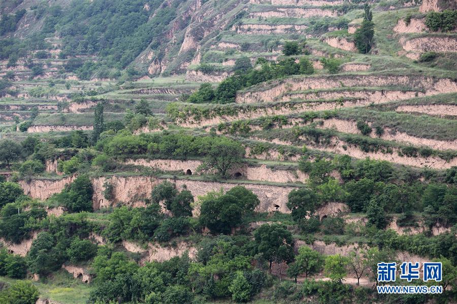 （決戰(zhàn)決勝脫貧攻堅(jiān)&middot;圖文互動(dòng)）（5）魚漁兼授 志智雙扶&mdash;&mdash;窮溝溝&ldquo;菜富記&rdquo;