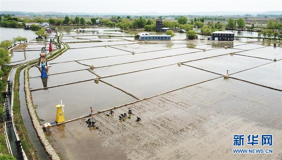 （在習(xí)近平新時(shí)代中國(guó)特色社會(huì)主義思想指引下&mdash;&mdash;新時(shí)代新作為新篇章&middot;習(xí)近平總書(shū)記關(guān)切事&middot;圖文互動(dòng)）（1）讓每一寸耕地都成為豐收的沃土&mdash;&mdash;我國(guó)加強(qiáng)耕地保護(hù)推進(jìn)&ldquo;藏糧于地&rdquo;