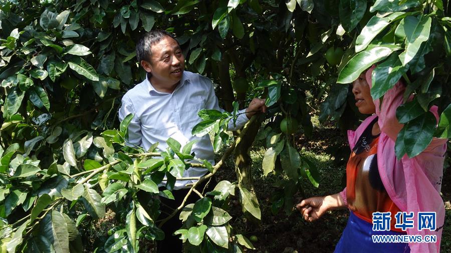 （新華網(wǎng)&middot;決戰(zhàn)決勝脫貧攻堅(jiān)&middot;圖文互動(dòng)）（1）貴州思南：強(qiáng)村帶弱村 &ldquo;抱團(tuán)&rdquo;促增收