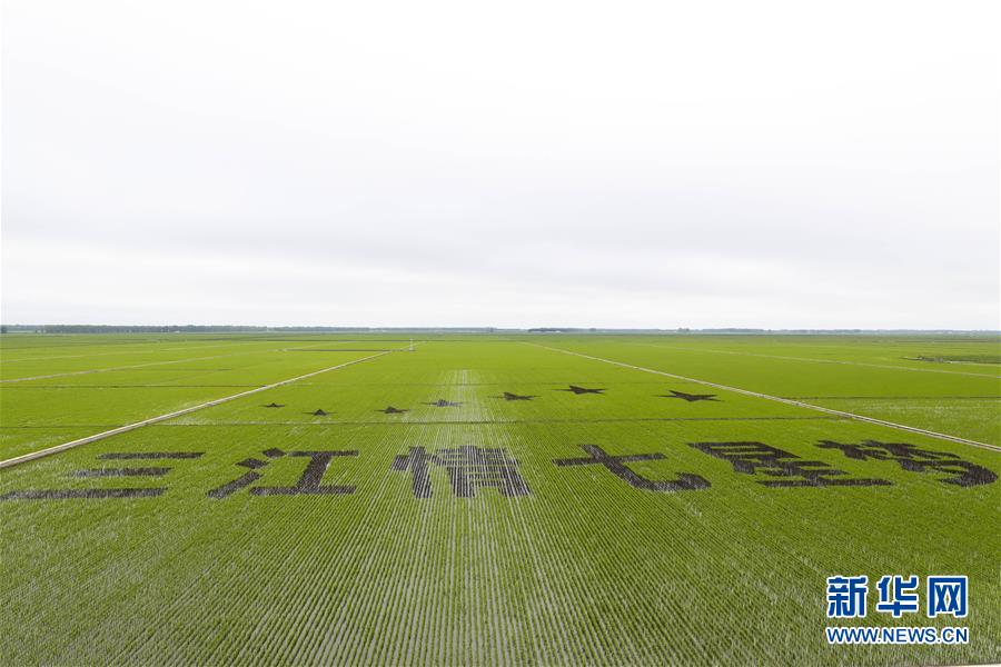 (走向我們的小康生活·圖文互動(dòng))(2)端牢“中國(guó)飯碗” 播種綠色小康