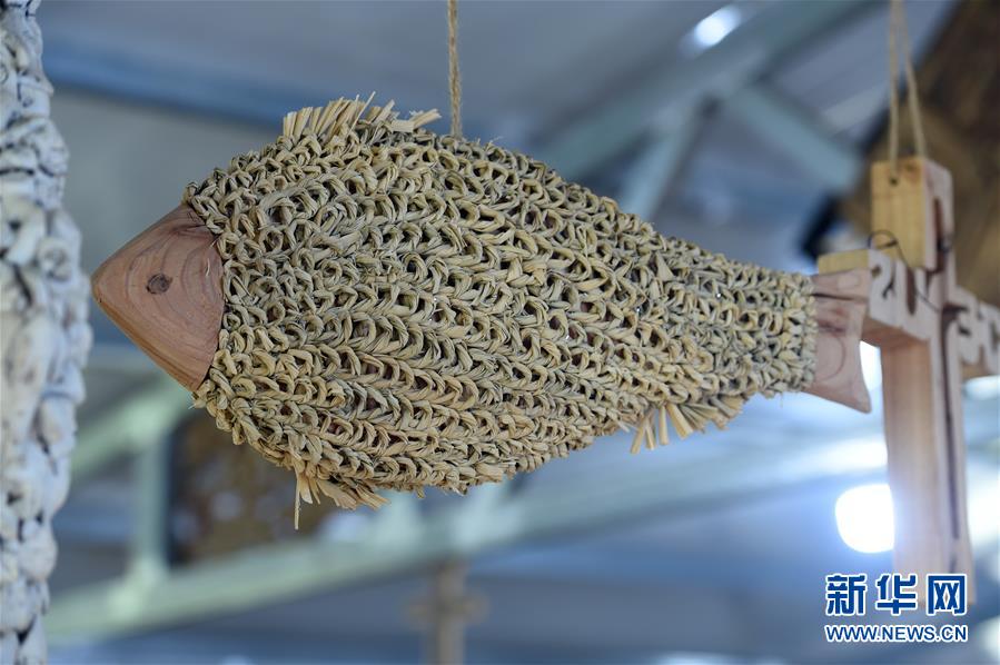  （新華全媒頭條&middot;圖文互動(dòng)）（6）青春，在希望的田野上&mdash;&mdash;大別山區(qū)尋訪&ldquo;城歸&rdquo;大學(xué)畢業(yè)生