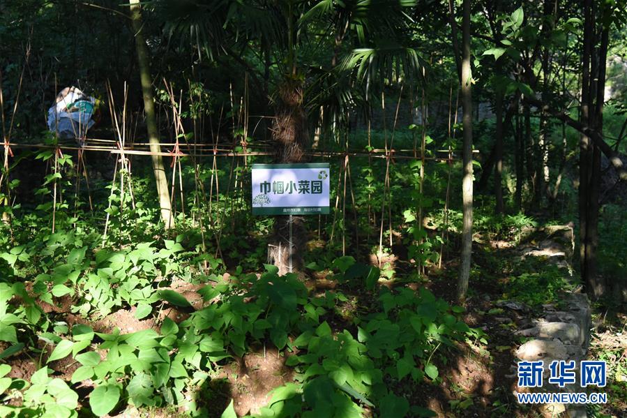 （鄉(xiāng)村振興&middot;圖文互動(dòng)）（5）海壩成&ldquo;畫&rdquo;