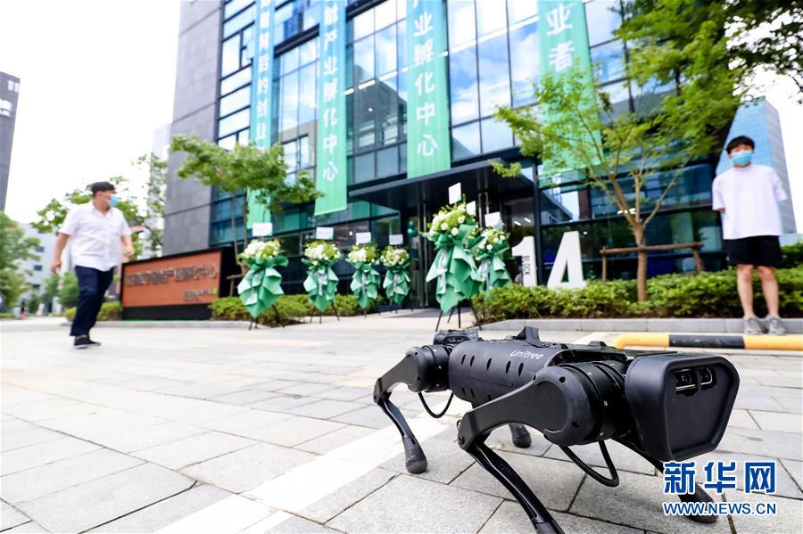 （新華全媒頭條&middot;圖文互動(dòng)）（10）讓世界更有&ldquo;AI&rdquo;&mdash;&mdash;透視2020世界人工智能大會云端峰會