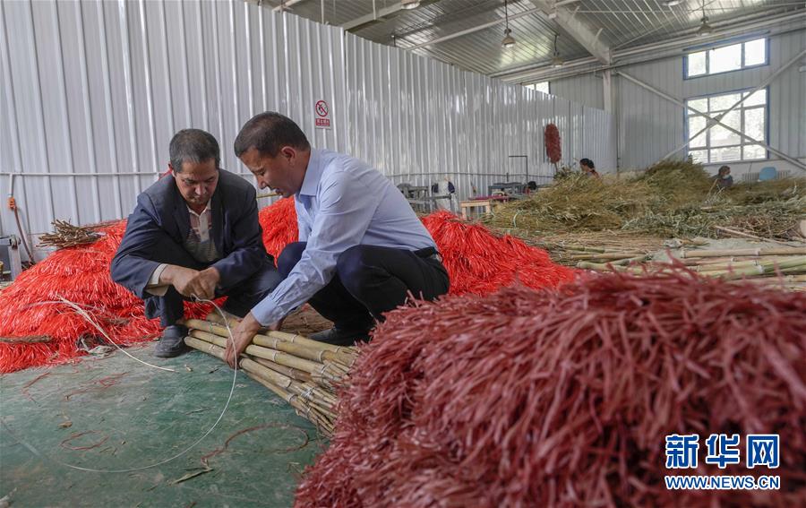 （決戰(zhàn)決勝脫貧攻堅(jiān)&middot;圖文互動(dòng)）（6）&ldquo;掃&rdquo;出脫貧路：南疆深貧村巧變&ldquo;創(chuàng)業(yè)村&rdquo;