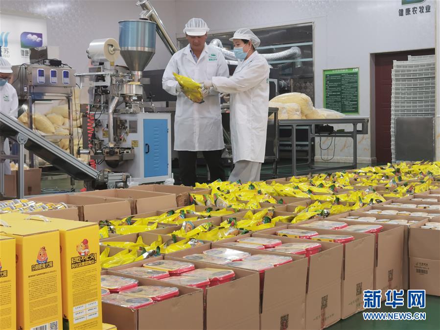 (決戰(zhàn)決勝脫貧攻堅(jiān)·圖文互動(dòng))玉米“變形”記