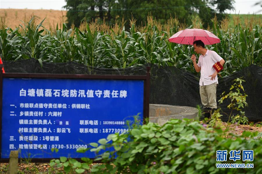 （防汛抗洪&middot;圖文互動）（1）&ldquo;險情不可怕，可怕的是不能及時發(fā)現(xiàn)險情&rdquo;&mdash;&mdash;洞庭湖巡堤查險現(xiàn)場直擊