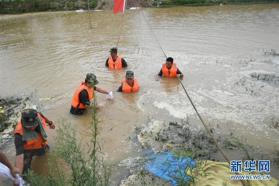 （防汛抗洪&middot;圖文互動）（1）&ldquo;大堤上有了&lsquo;導彈綠&rsquo;，我們老百姓安了心&rdquo;