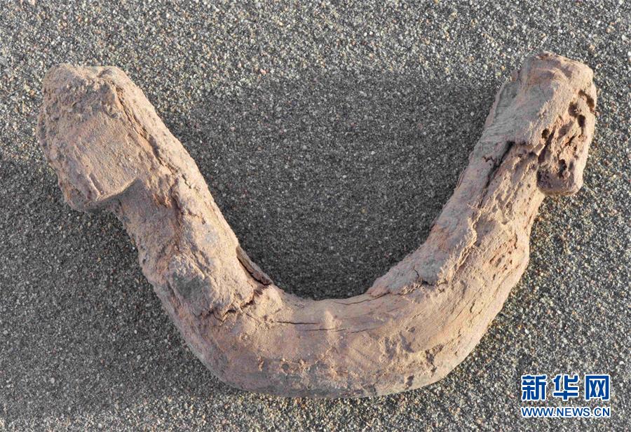 (圖文互動(dòng))(2)新疆尉犁縣克亞克庫(kù)都克烽燧遺址出土700多件唐代紙文書(shū)和木牘