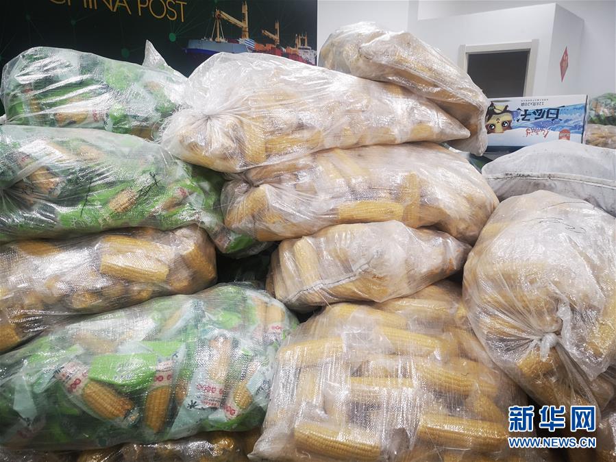 (落實“六穩(wěn)”“六保”一線見聞·圖文互動)(2)老煤城雙鴨山開拓就業(yè)創(chuàng)業(yè)新領地