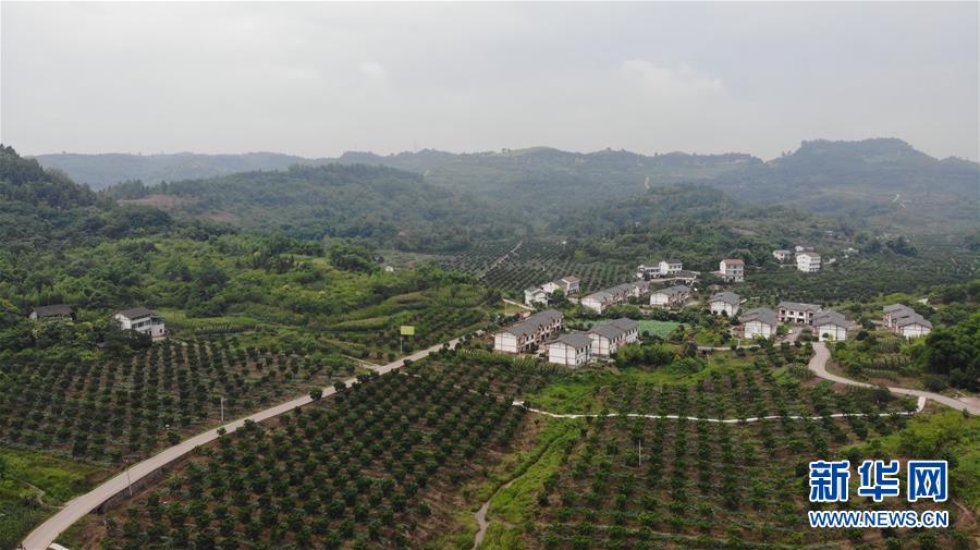 （走向我們的小康生活&middot;圖文互動(dòng)）（1）擺擺幸福鄉(xiāng)村的新鮮事兒