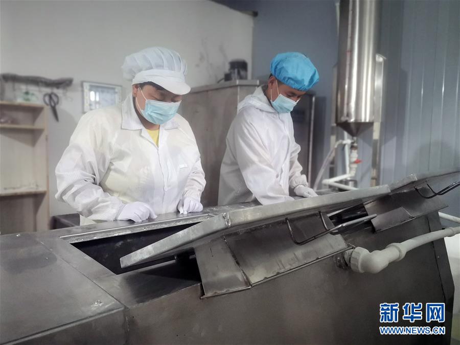 （中國網(wǎng)事&middot;感動2020&middot;圖文互動）（1）&ldquo;90后&rdquo;扶貧干部跨越千里當(dāng)上&ldquo;掛面書記&rdquo;