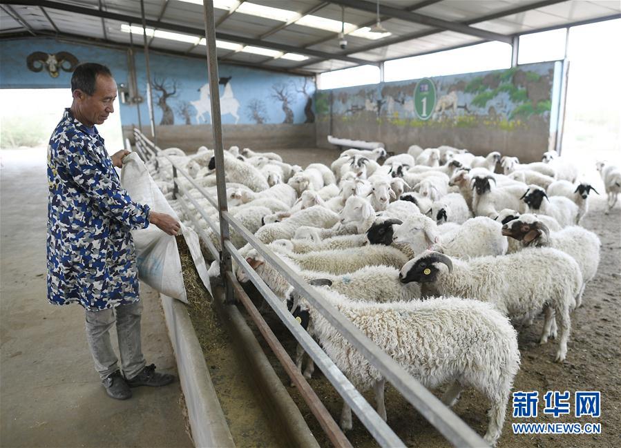 （走向我們的小康生活&middot;圖文互動）（5）西海固換了新模樣