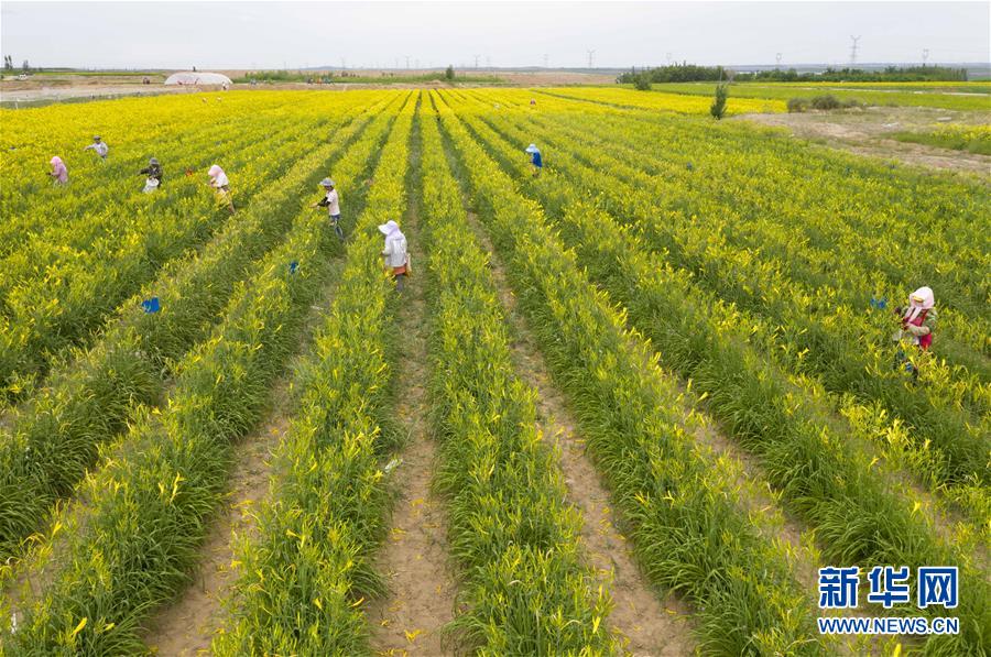 (新華全媒頭條·走向我們的小康生活·圖文互動(dòng))(11)23萬(wàn)人的命運(yùn)轉(zhuǎn)折——我國(guó)最大易地生態(tài)移民安置區(qū)的脫貧密碼