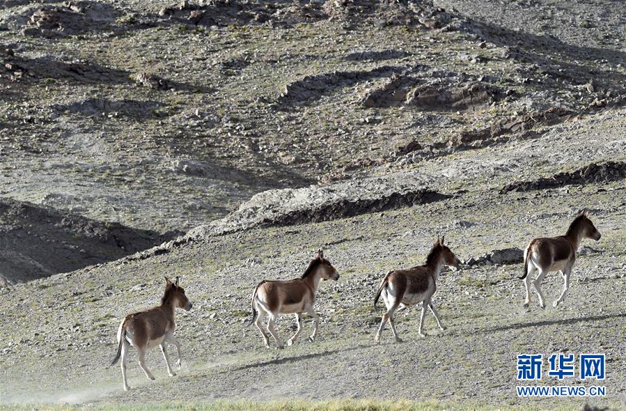 （在習近平新時代中國特色社會主義思想指引下&mdash;&mdash;新時代新作為新篇章&middot;習近平總書記關(guān)切事&middot;圖文互動）（1）綠色映底蘊，山水見初心&mdash;&mdash;生態(tài)優(yōu)先、綠色發(fā)展持續(xù)造福群眾美好生活