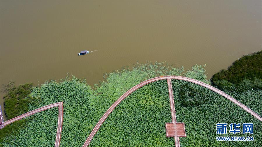 （在習近平新時代中國特色社會主義思想指引下&mdash;&mdash;新時代新作為新篇章&middot;習近平總書記關(guān)切事&middot;圖文互動）（8）綠色映底蘊，山水見初心&mdash;&mdash;生態(tài)優(yōu)先、綠色發(fā)展持續(xù)造福群眾美好生活