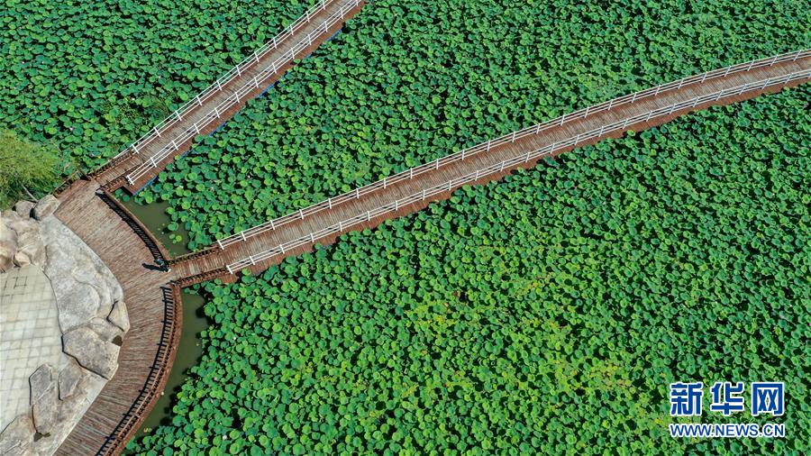 （在習近平新時代中國特色社會主義思想指引下&mdash;&mdash;新時代新作為新篇章&middot;習近平總書記關(guān)切事&middot;圖文互動）（9）綠色映底蘊，山水見初心&mdash;&mdash;生態(tài)優(yōu)先、綠色發(fā)展持續(xù)造福群眾美好生活