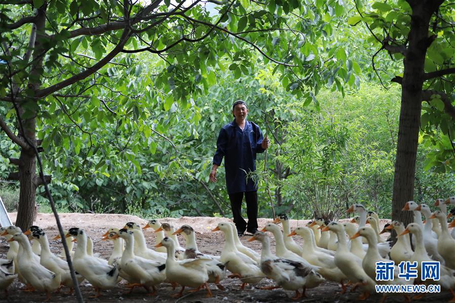 (新華全媒頭條·圖文互動(dòng))(8)穩(wěn)中求進(jìn) 奮勇前進(jìn)——從中央政治局會(huì)議看中國經(jīng)濟(jì)走勢