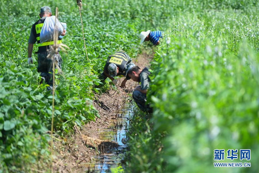 (新華全媒頭條·圖文互動(dòng))(10)筑起共御水患的鋼鐵長(zhǎng)堤——戰(zhàn)洪一線的“干群關(guān)系新答卷”